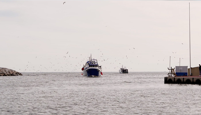 La Mar de Fresco Barcos volviendo